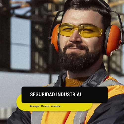 Elementos de Seguridad Industrial